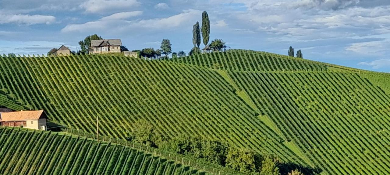 Glanz Und Gloria Weingartenapartment An Der Kellerstrasse, Viele Buschenschaenke, Sehr Ruhige Lage, Herrliche Aussicht! ロイトシャッハ エクステリア 写真