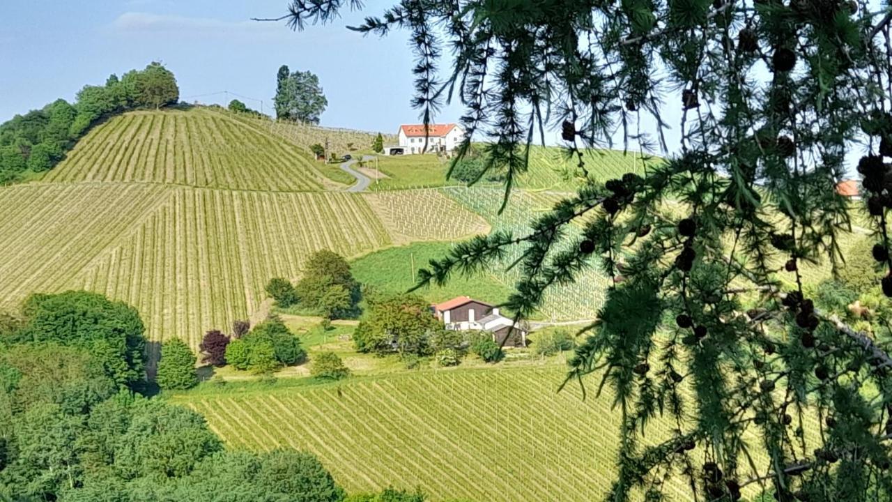 Glanz Und Gloria Weingartenapartment An Der Kellerstrasse, Viele Buschenschaenke, Sehr Ruhige Lage, Herrliche Aussicht! ロイトシャッハ エクステリア 写真