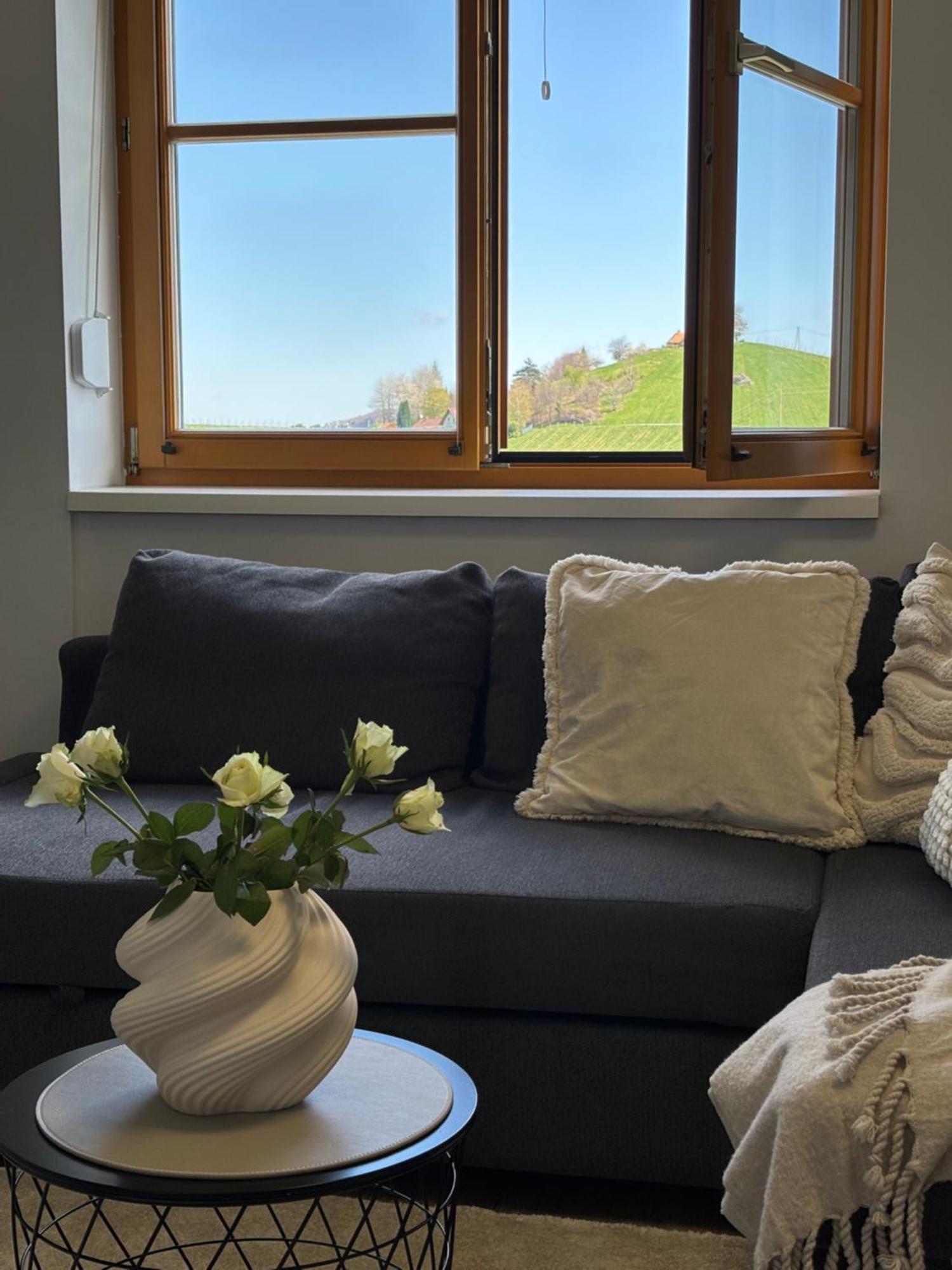 Glanz Und Gloria Weingartenapartment An Der Kellerstrasse, Viele Buschenschaenke, Sehr Ruhige Lage, Herrliche Aussicht! ロイトシャッハ エクステリア 写真