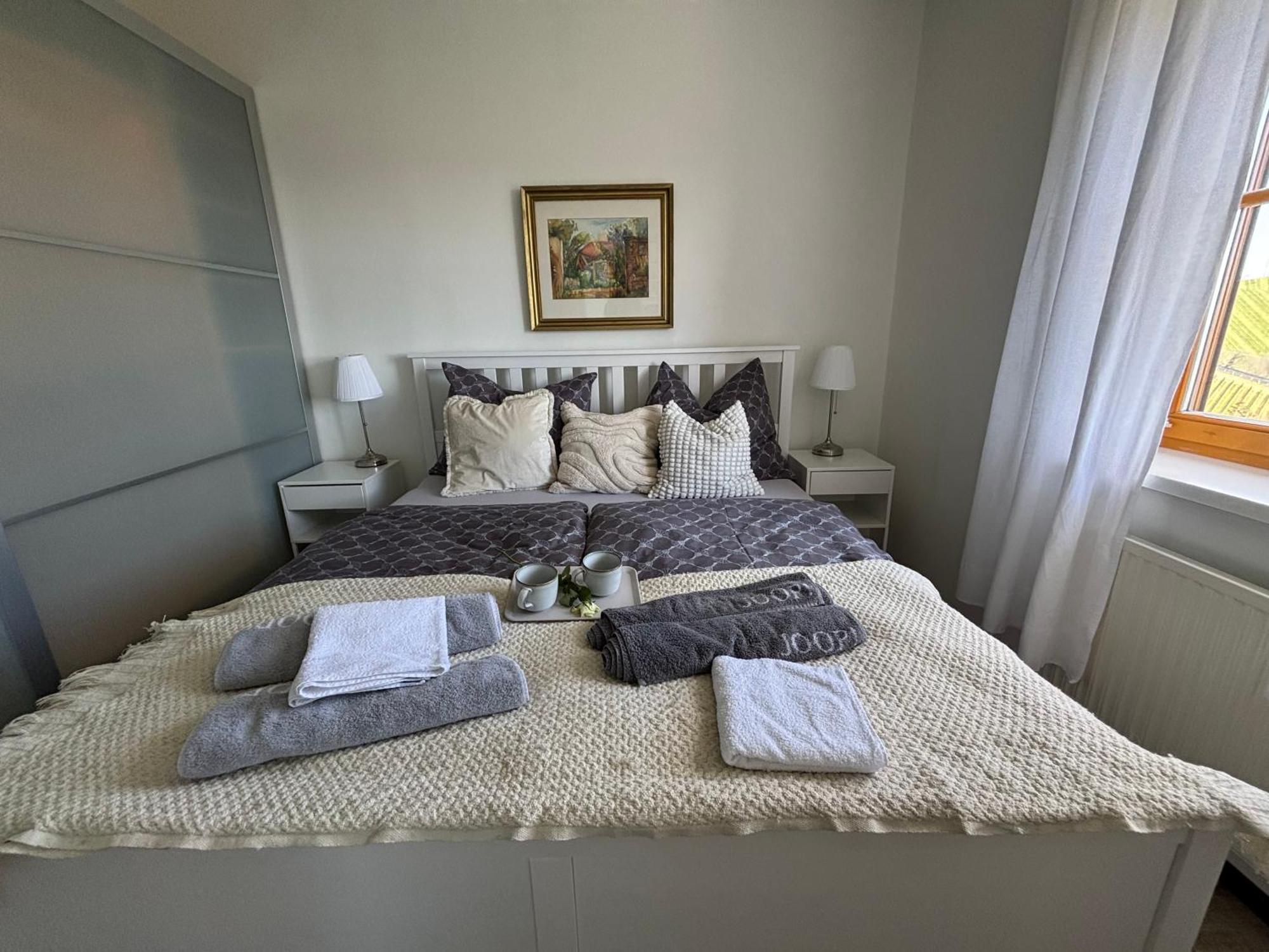 Glanz Und Gloria Weingartenapartment An Der Kellerstrasse, Viele Buschenschaenke, Sehr Ruhige Lage, Herrliche Aussicht! ロイトシャッハ エクステリア 写真